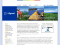 lignolfuels.com