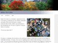 neatstreets.com