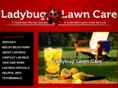 yourladybug.net