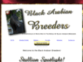 blackarabianbreeders.com