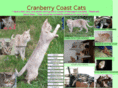 cranberrycoastcats.com