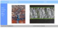 nilofersami-artist.com