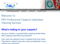 pep-carpet-cleaning.info