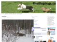 theblogdogs.com