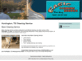 basiccleaningservice.com