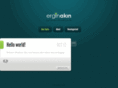 erginakin.com