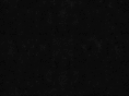 georgepacurariu.com
