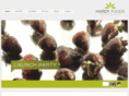 hardyfoods.com
