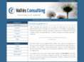 vallesconsulting.net