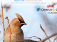 oiseauxetcie.com