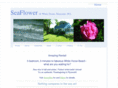 seaflower-rental.com