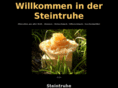 steintruhe.com
