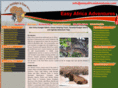 easyafricaadventures.com