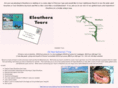 eleutheratours.com