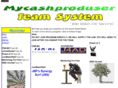 mycashproduser.com