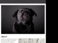 pawpicsphotography.com