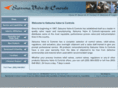 satsumavalve.com