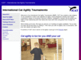 catagility.com
