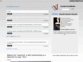 dvmstream.com