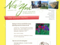 nyss-washdc.org