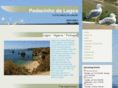 pedacinhodelagos.com
