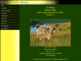 shamrockvalleyranch.com