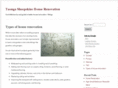 taongasheepskins.com
