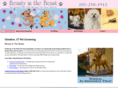 beautyinthebeastct.com