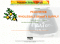 peachtreewbs.com