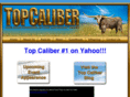 top-caliber.com