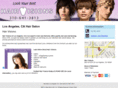 hairvisionswestchester.com
