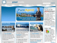 purepixel.net