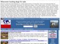 wisconsinhuntingdogs.com