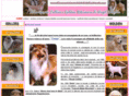 allevamentoamatorialedellecollineetrusche.com