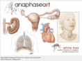 anaphaseart.com