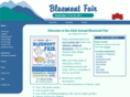 bluemontfair.com