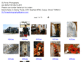 dlfloresphotography.com