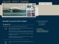 galleryeffect.com