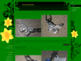 greeneyedsoulstudio.com