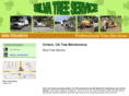 silvatreeservice.net