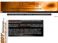 speedydeliveriesinc.com