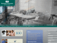 bozemandeaconess.com