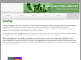 bshconsultingservices.com