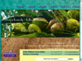 coconutgrovehomes4rent.com