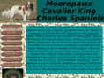 moorepawz.com