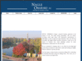 naglehiggins.com