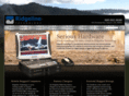 ridgelinetechnology.net