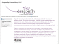 thedragonflysolution.com