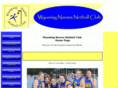wnnetball.com
