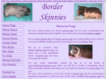 borderskinnies.com